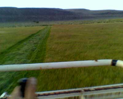 Swathing